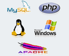 MySQL, PHP, Linux, Windows, Apache
